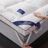 Five-star hotel homestay mattresses, home cushions, student dormitory soft cushions, single tatami MATS thickened by 10cm details Picture
